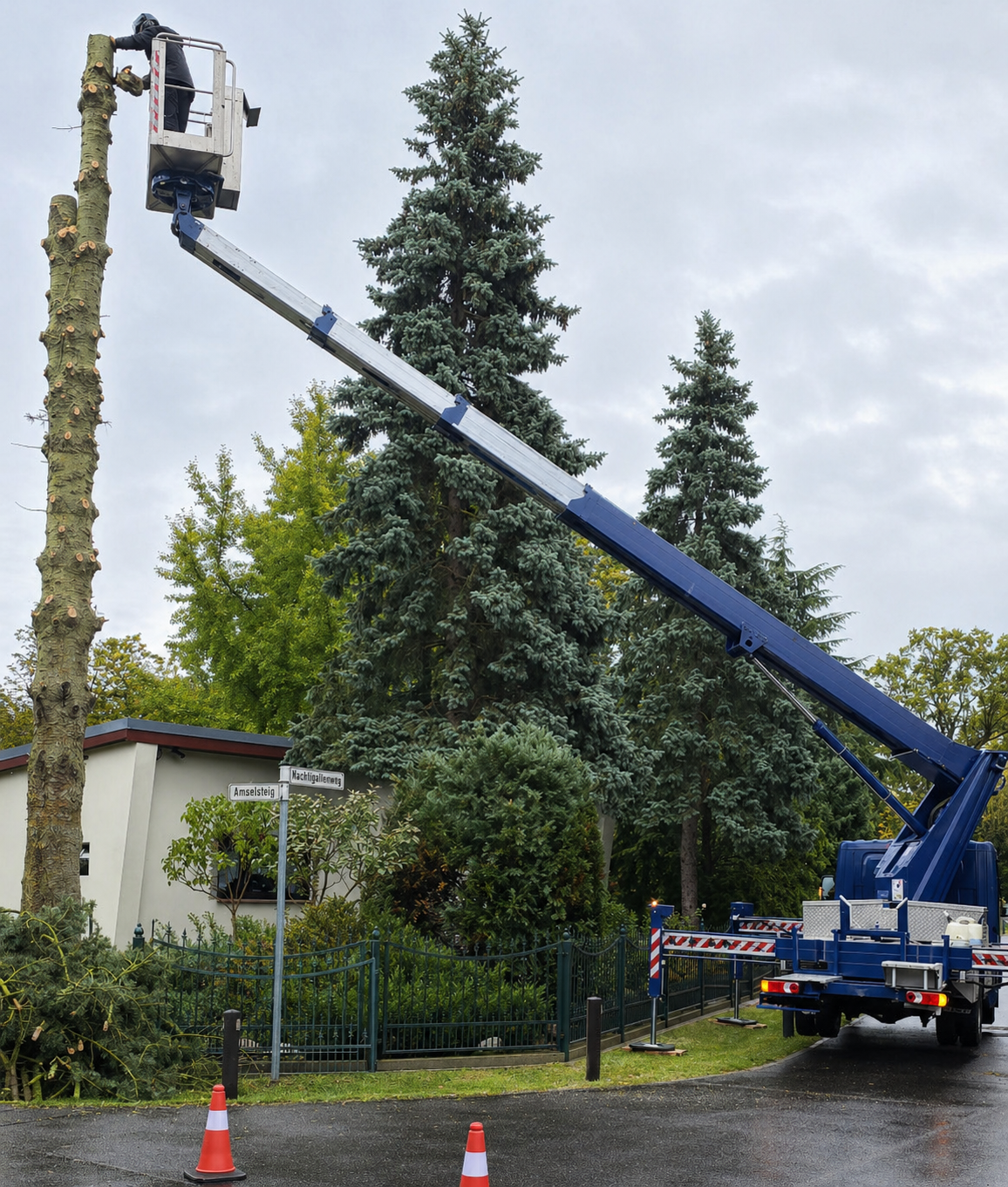 baumfällung hubarbeitsbühne brandenburg
