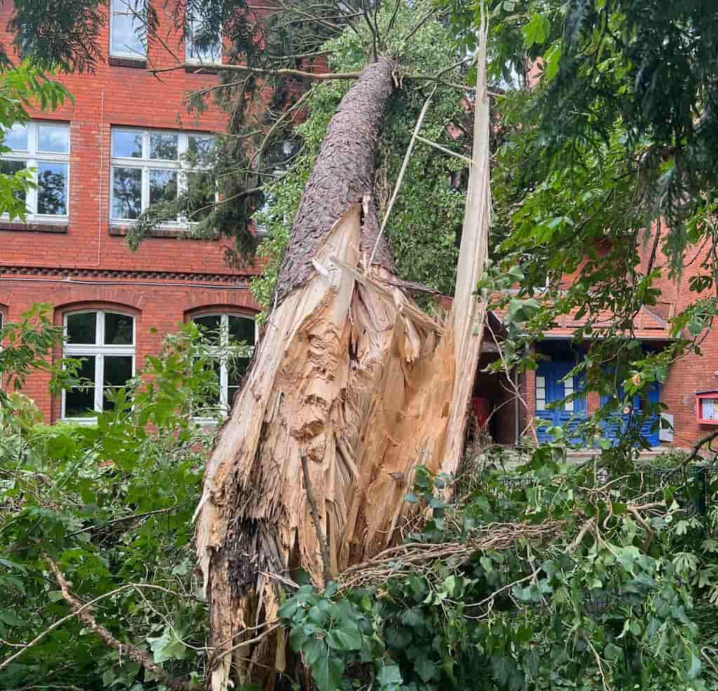 sturmschaden brandenburg notdienst